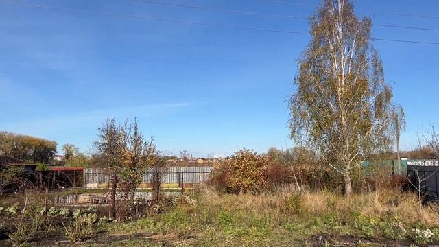 Саджаємо хвойні. Формуємо жимолость на штамбі. смотреть онлайн