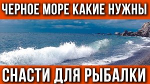 Снасти для рыбалки на Черном море. Что взять в отпуск?