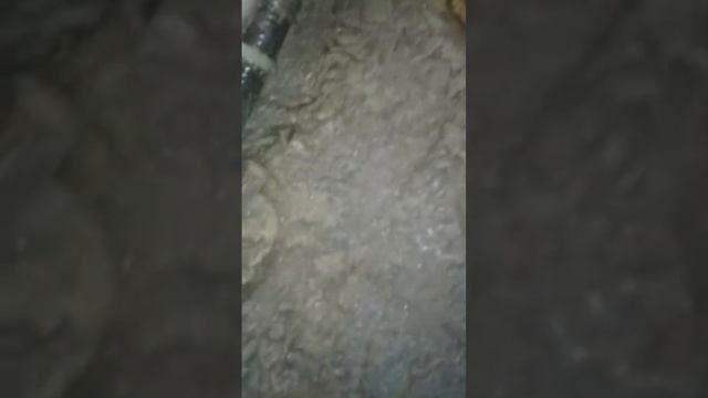 Посадочное место задней опоры Aveo смотреть онлайн