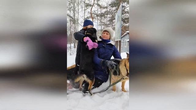Наш островок доброты 🏝 - наша "Лапа Помощи" 😘💖 смотреть онлайн