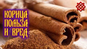 Корица польза и вред. Целительные Свойства Корицы и Противопоказания.mp4