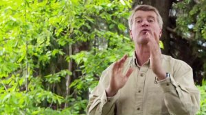 Дома на деревьях 2 серия «Полуденный салун» (документальный сериал, 2015)