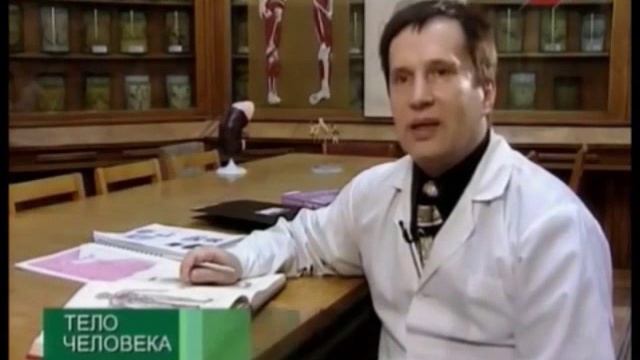 органы кровообращения смотреть онлайн