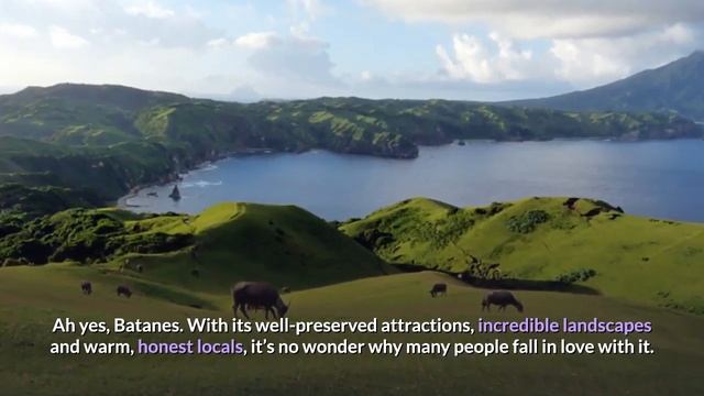 Top 10 Best Location For The Perfect Valentine's Date In The PHILIPPINES! смотреть онлайн