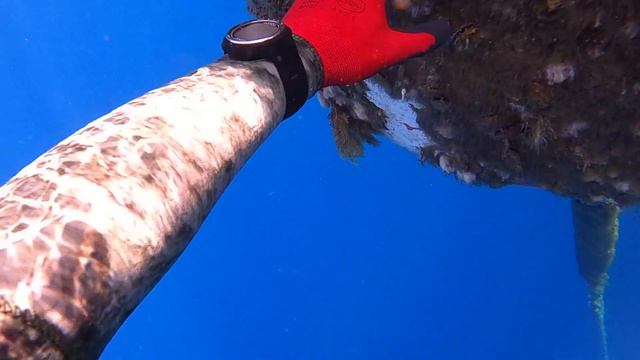 9 Days in Malta - Amazing Food and Spearfishing Crystal Clear Water смотреть онлайн