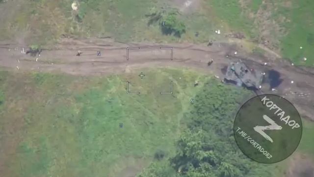 ВСУ на фронте начали пародировать опоссумов. смотреть онлайн