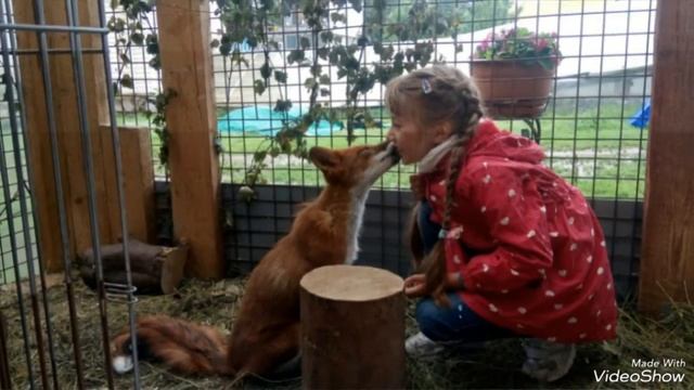 Мой ласковый и нежный зверь. смотреть онлайн