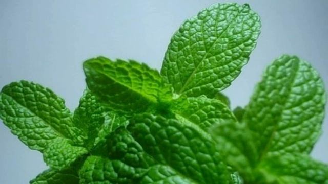 Стройка Мечты