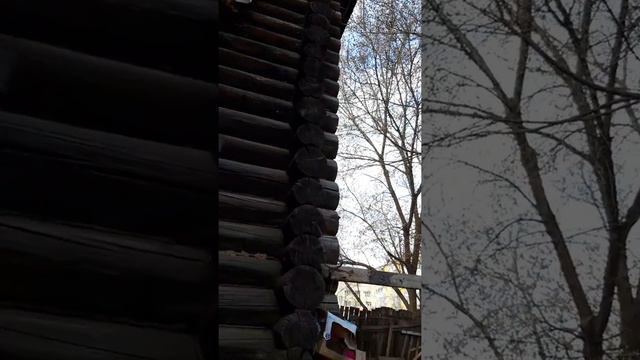 Трущобы в центре Йошкар-Олы сзади КГБ смотреть онлайн