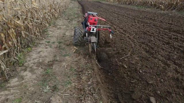 13 жовтня 2022 р. смотреть онлайн