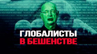 Почему Россия вновь стала привлекательна для иммигрантов из Европы?