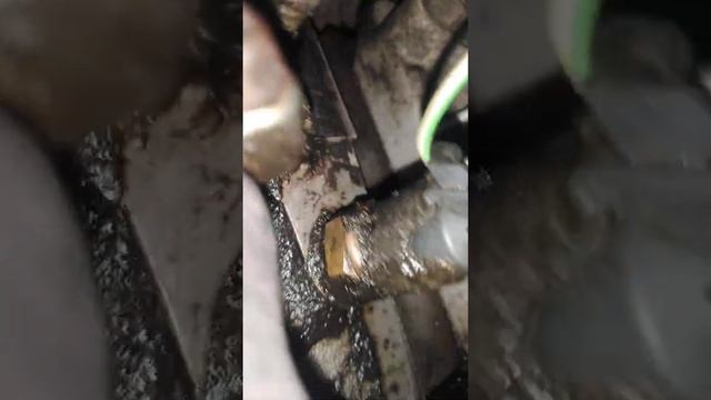 Лада калина, где искать номер двигателя смотреть онлайн