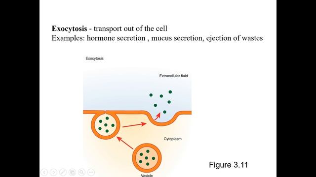 Chapter 3, Part 1 H смотреть онлайн