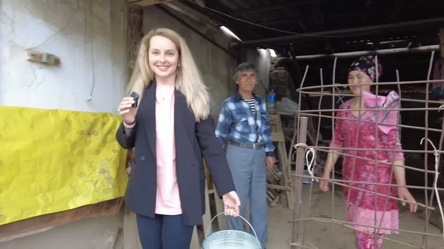 Вернулись в кишлак! Учимся доить корову! Узбекистан. смотреть онлайн