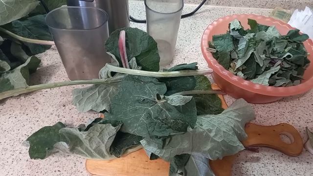 Лучшее средство от любых кист в организме. Часть 1. 4amoC-bEMLY