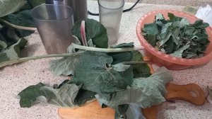 Лучшее средство от любых кист в организме. Часть 1. 4amoC-bEMLY