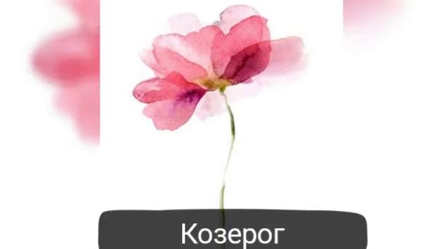 Какой ты цветок по знаку зодиака ????? смотреть онлайн