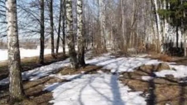 Б.Л.Пастернак Февраль! Достать чернил и плакать.. смотреть онлайн