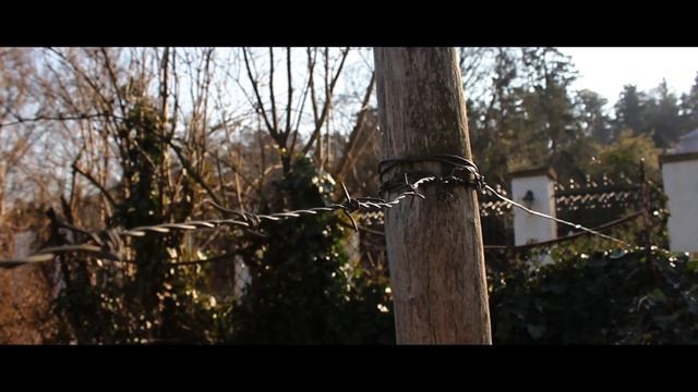 Canon 600D video test смотреть онлайн