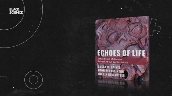 Пластиковые динозавры сделаны из настоящих? | Black Science