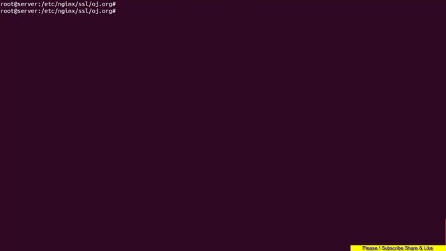 How To Set Up Multiple SSL Certificates on One IP with Nginx смотреть онлайн
