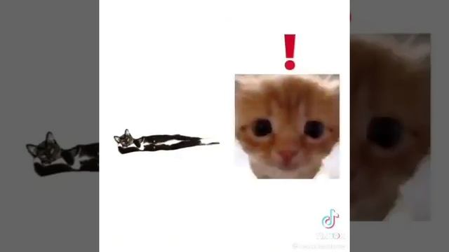 Hello everynyan смотреть онлайн