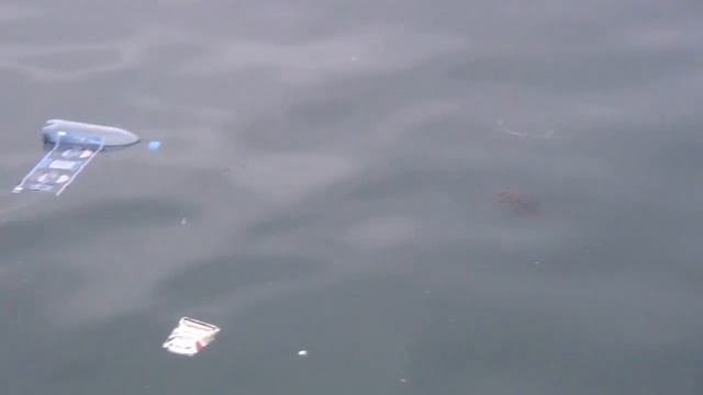 Уновогодженный Севастополь смотреть онлайн