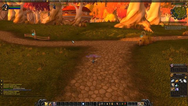 Leveling 1-110 WoW Legion (Blood Elf Paladin) Part 2 смотреть онлайн