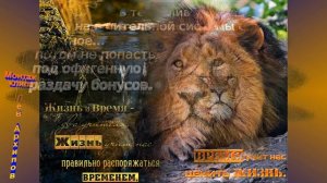 Пойду, пойду своей дорогой.