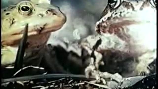 Критерии и структура вида (генетика) 1.4.flv.flv смотреть онлайн