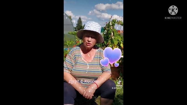 Компросс, огород, песни мамы. смотреть онлайн