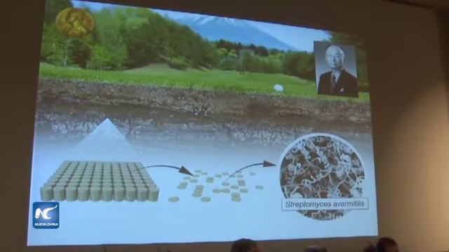 Tres científicos comparten Nobel de Fisiología o Medicina смотреть онлайн