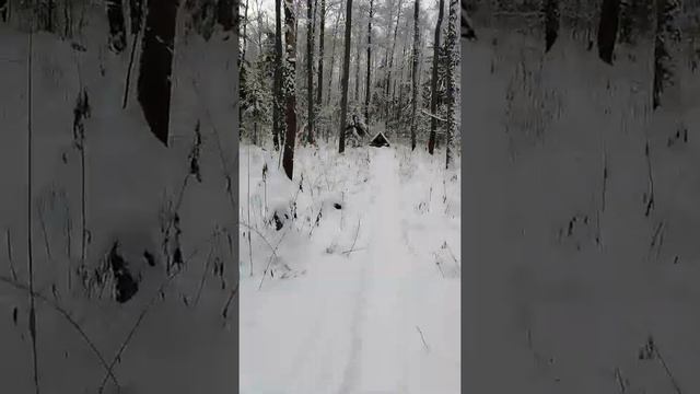 родник Белый ключ. Исток реки Вязилка. 19.12.2021 смотреть онлайн