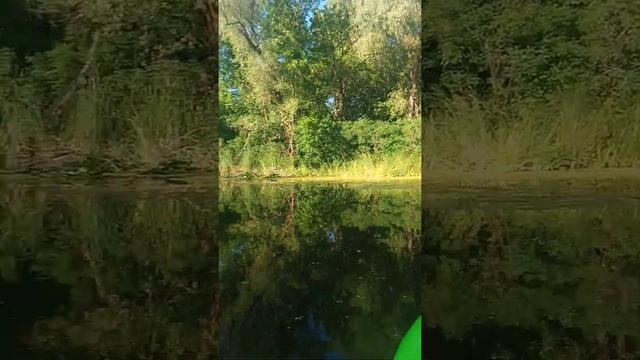 Первый выход на новом каяке в Диёвские плавни. Парус. Днепр (Днепропетровск)17.07.2022 смотреть онлайн