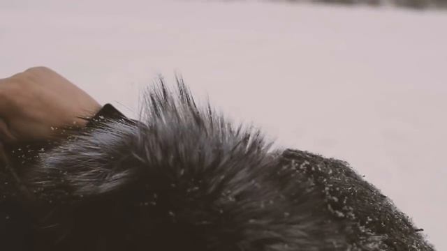 PoZiTiV - Сон наяву смотреть онлайн