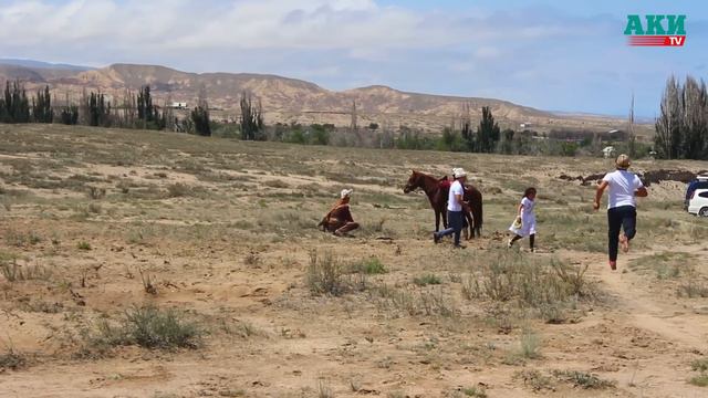 Golden eagle attacks 8 yo girl at ethnofestival in Kyrgyzstan смотреть онлайн