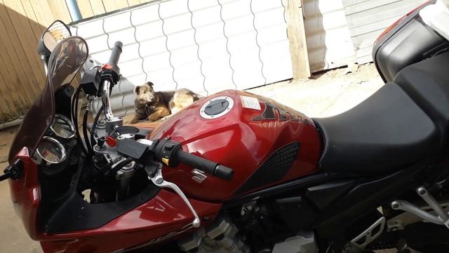 Сузуки Бандит 1250с, честный обзор. смотреть онлайн