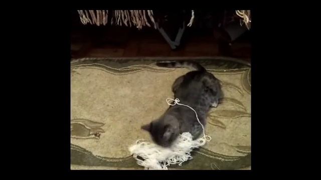 ROZY(Розали) шалит смотреть онлайн