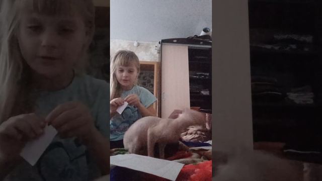 пишите в комментариях больше 1000 нельзя смотреть онлайн