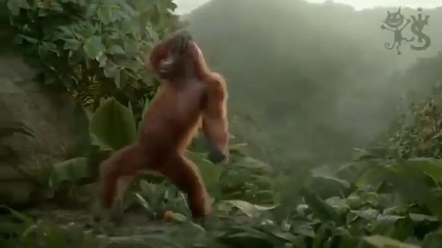 Танцуем под бузову смотреть онлайн