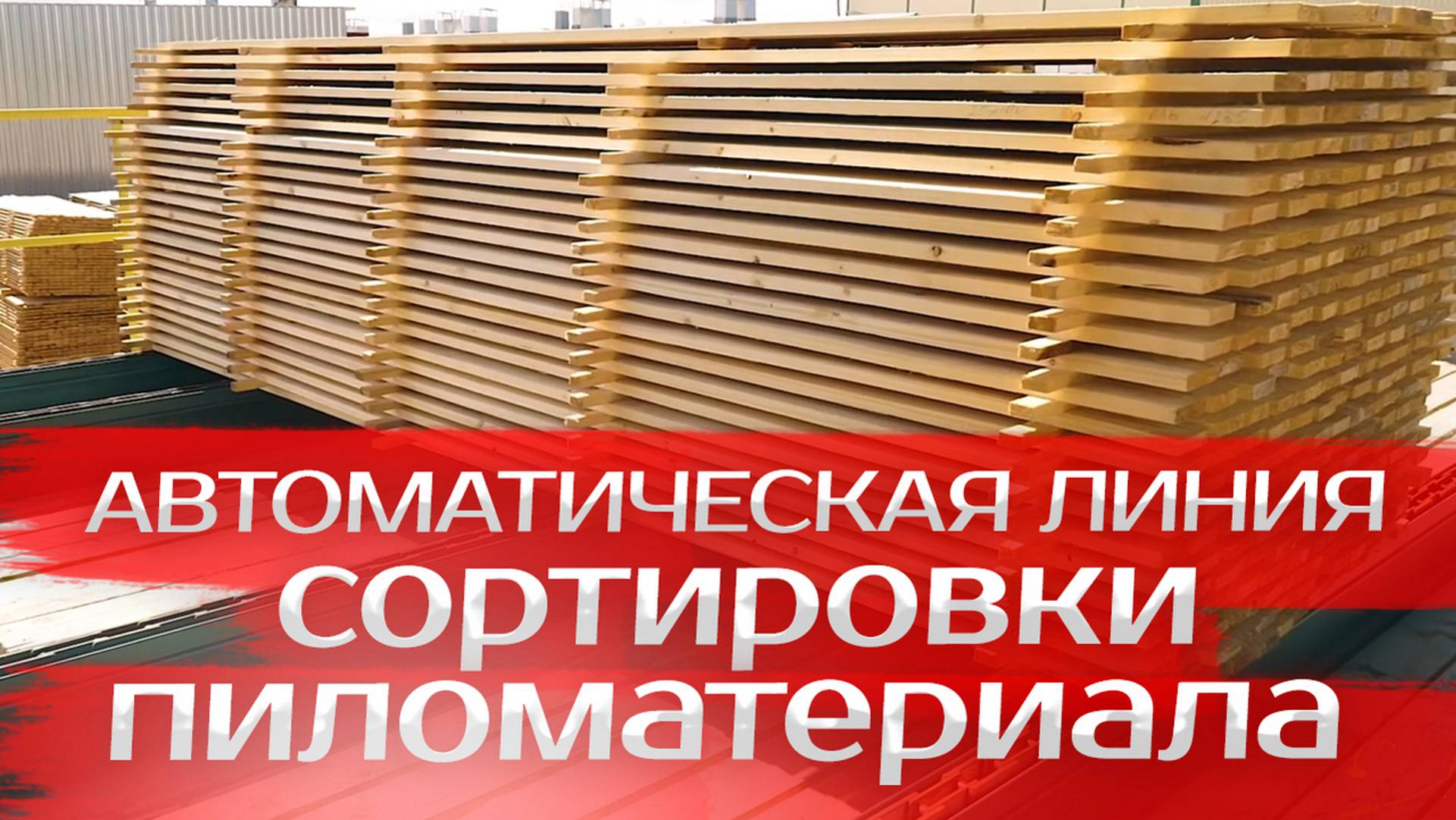 Автоматическая линия сортировки пиломатериала смотреть онлайн