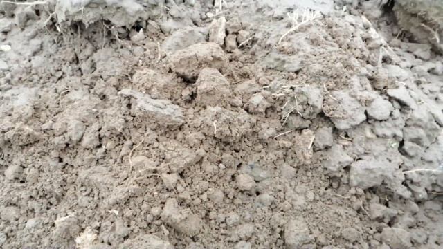 Ужасный и удачный коп 2020 с Quest X10 смотреть онлайн