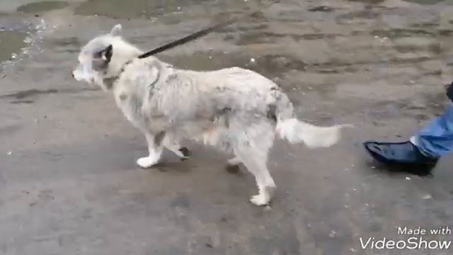 Найда-Дача, есть ли у неё шанс.... смотреть онлайн