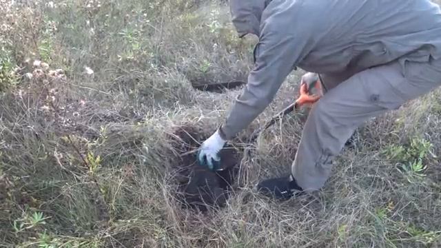 ТАКОГО Я ЕЩЕ НЕ ВИДЕЛ ОГРОМНАЯ НАХОДКА СДЕЛАЛА НАМ...КОП МЕТАЛЛОЛОМА ПРОБИРАЮСЬ ЧТО БЫ ПОГРУЗИТЬ... смотреть онлайн