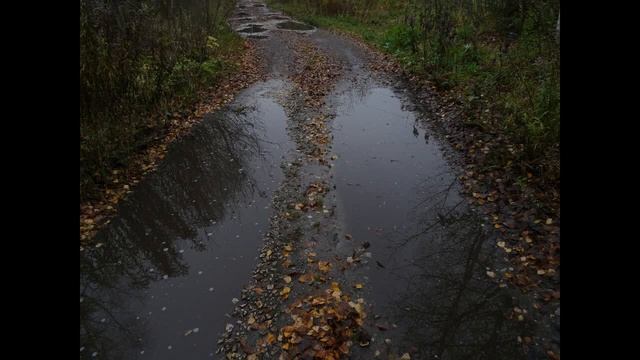 Звук из фото и картинки смотреть онлайн