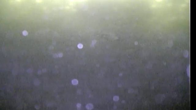 Зимняя рыбалка на пельчера сига смотреть онлайн