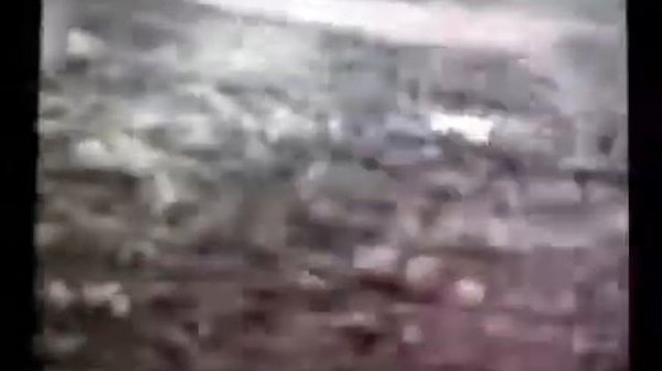 Wings: Wings Over Vietnam (1995) RARE