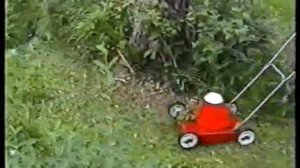 Электрокосилка мечта