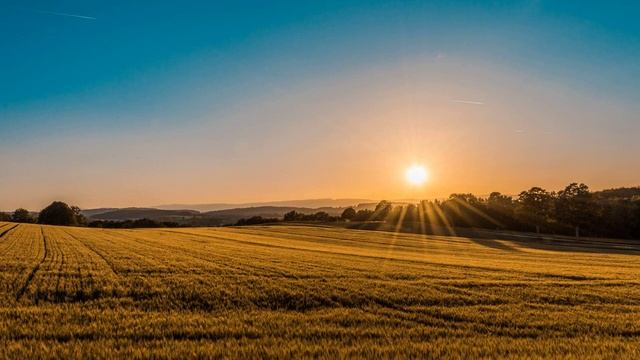 MOTION Music for relax/ Музыка для сна медитации и борьбы со стрессом chillout Relaxing смотреть онлайн