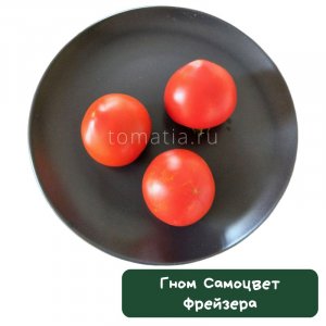 Гном Самоцвет Фрейзера